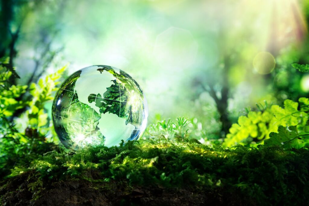 12 Best Benefits invested Global Brands 2023