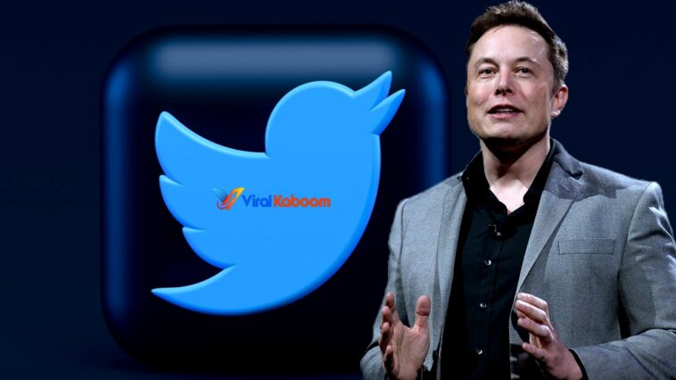 Elon Musk Announces New Boss For Twitter