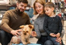 Top 10 Tips for Choosing the Perfect Pet for Your Family