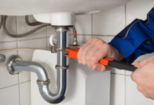 professional plumbing services