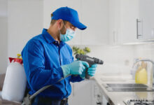 Modern Pest Control Practices